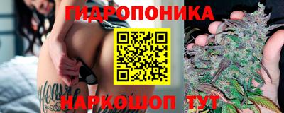 jwh Кинель