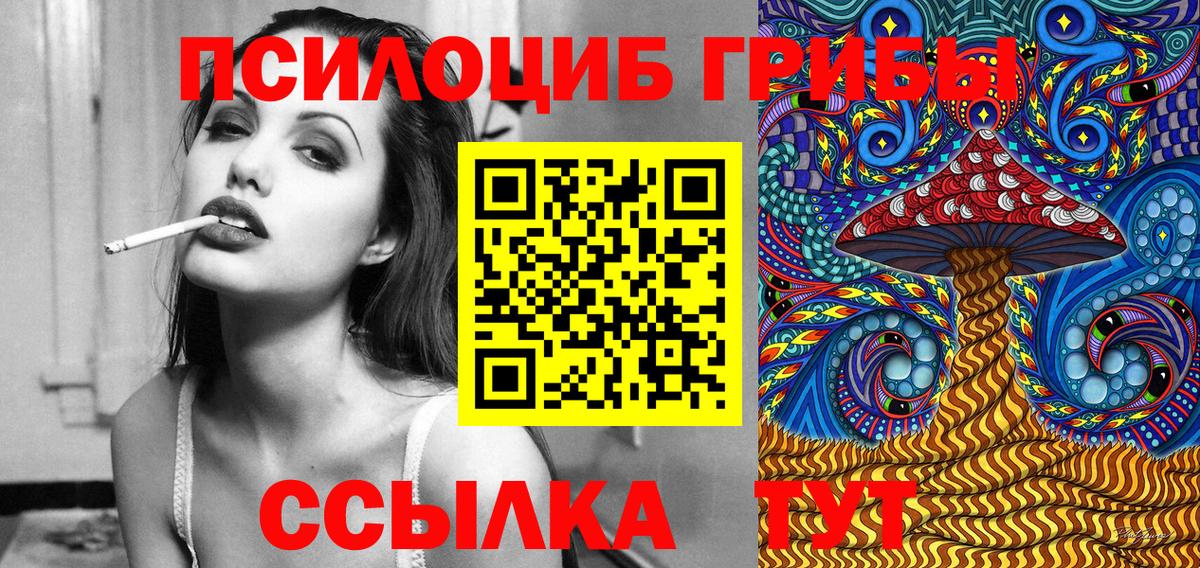 Галлюциногенные грибы Psilocybe  Галлюциногенные грибы Cubensis  Арзамас  Вход с VPN 